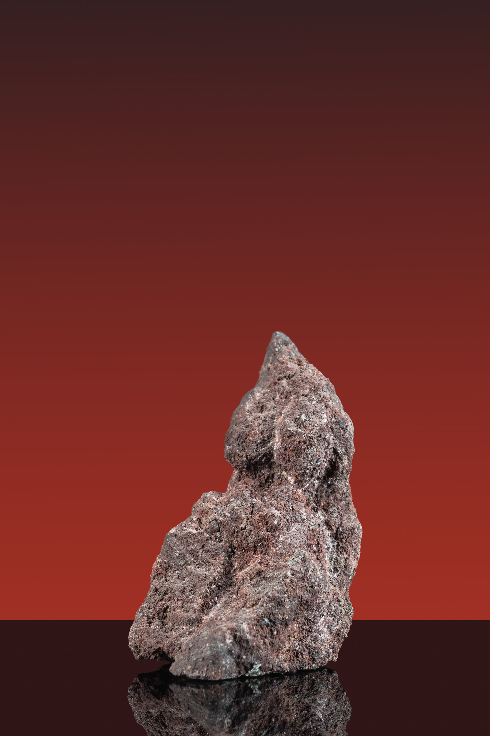 winzer_urmuetter_2006_fig04